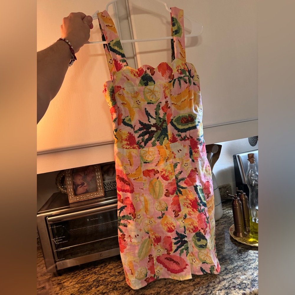 NWOT farm rio Fritos linen dress size s